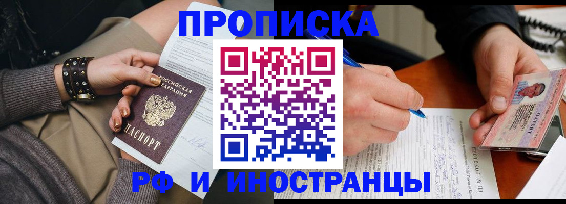 прописка гарантия в Вольске